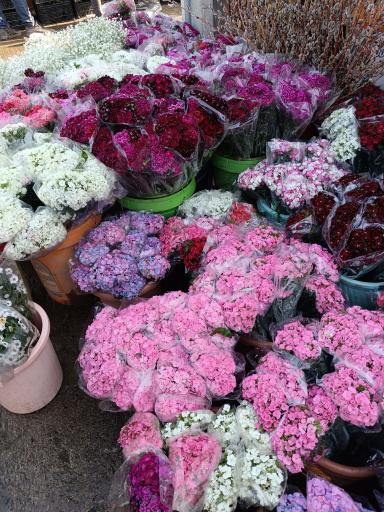 عکس بازار گل محلاتی