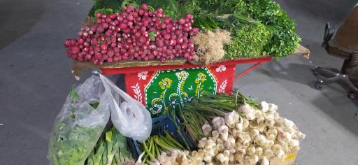 عکس میوه سرای المپیک