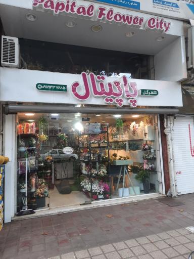 عکس شهرگل پاپیتال