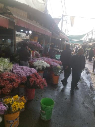 بازار گل محلاتی