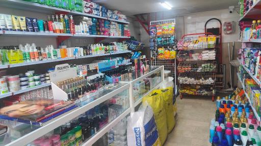 عکس ارزانسرای لبخند
