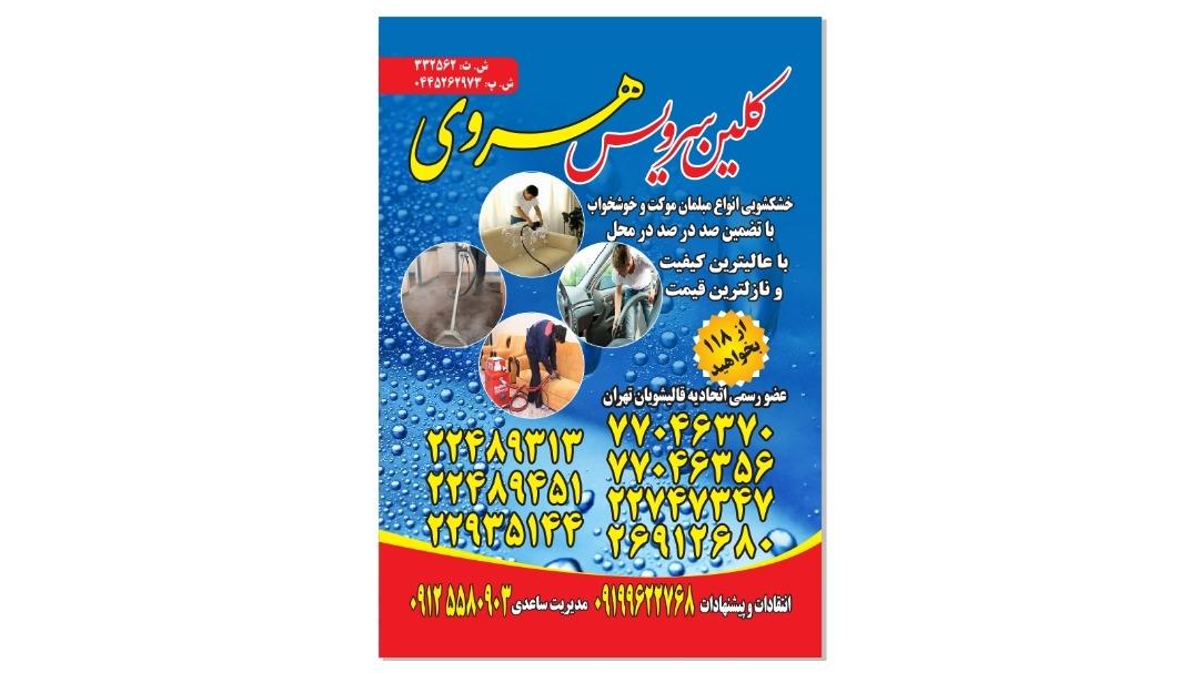 عکس قالیشویی هروی