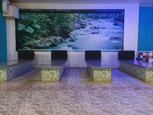 عکس سونای المپیک