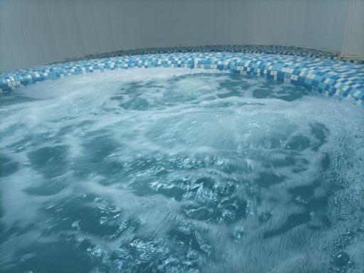 عکس سونای المپیک