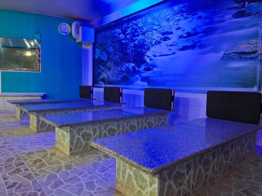 عکس سونای المپیک