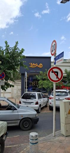 مؤسسه تبلیغاتی دنیای هنر