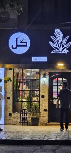 عکس گل یوکا