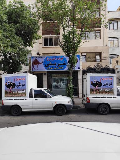 گوشت شتر مرغ شریفی