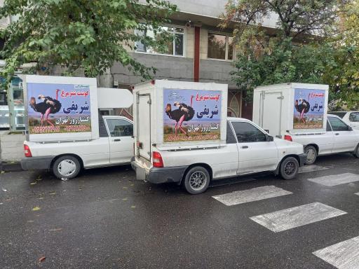عکس گوشت شتر مرغ شریفی