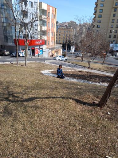 عکس میدان بهارستان 