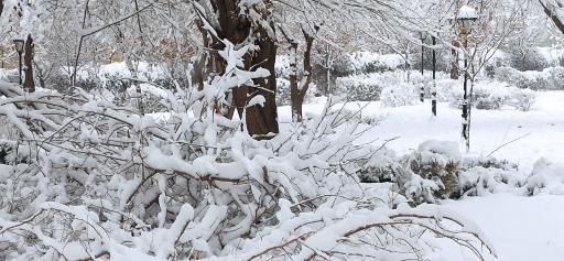 عکس پارک سیدی