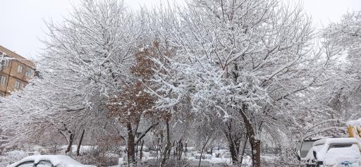 عکس پارک سیدی