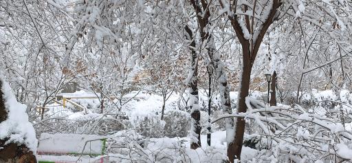 عکس پارک سیدی