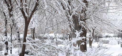 عکس پارک سیدی