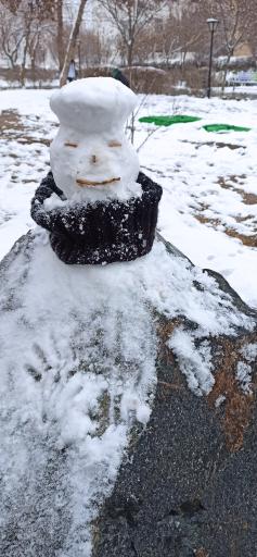 عکس پارک سیدی