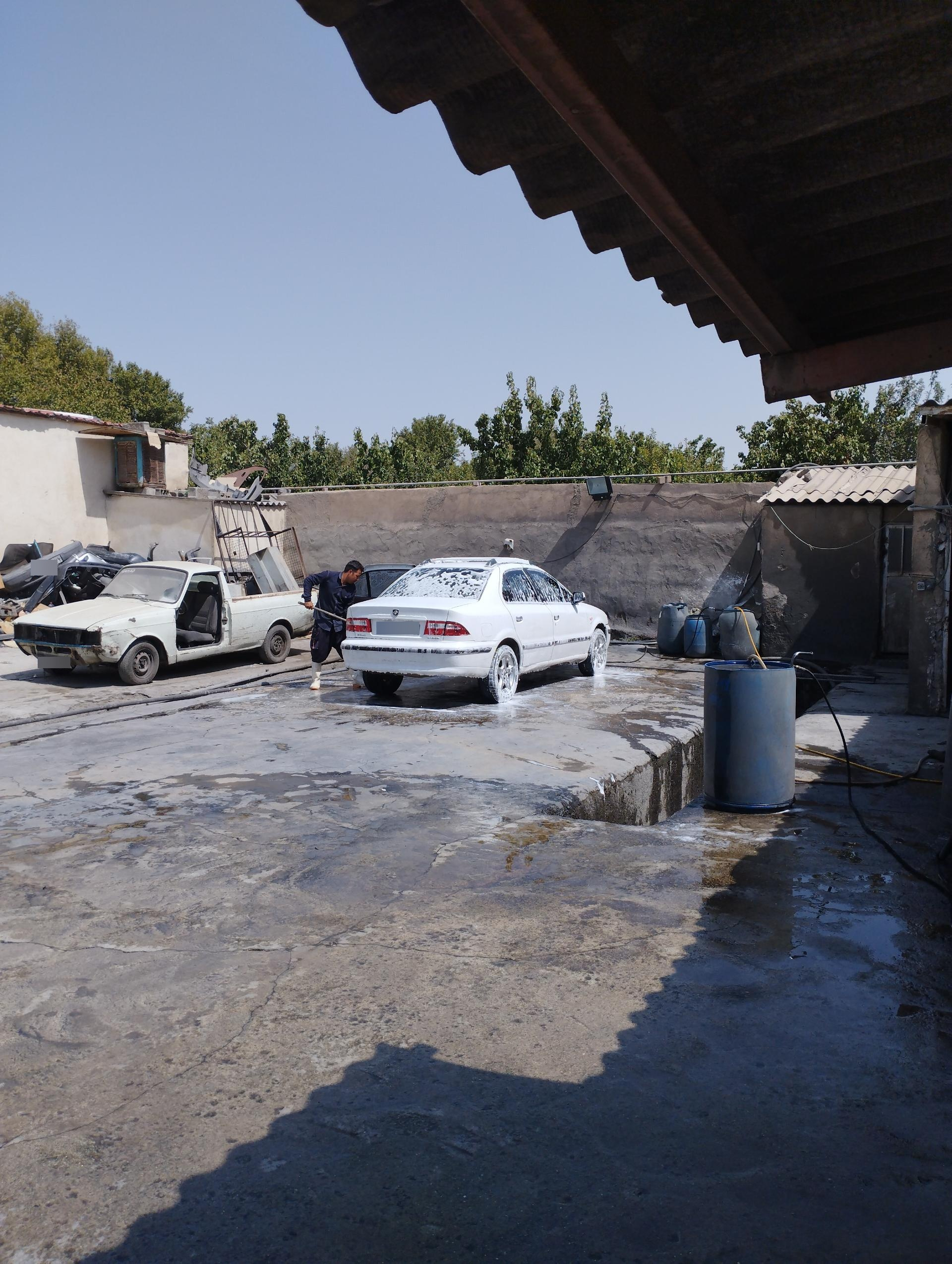 عکس کارواش بید مجنون