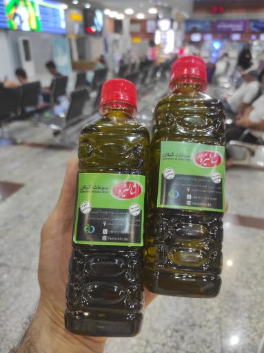 عکس شالیزه سوغات گیلان