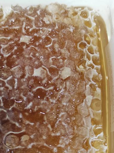 عکس شالیزه سوغات گیلان