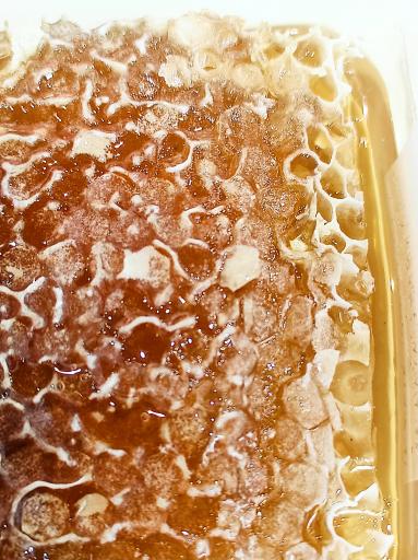 عکس شالیزه سوغات گیلان