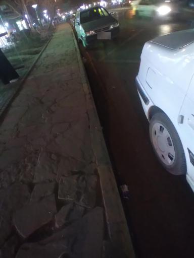 عکس  22بهمن 26