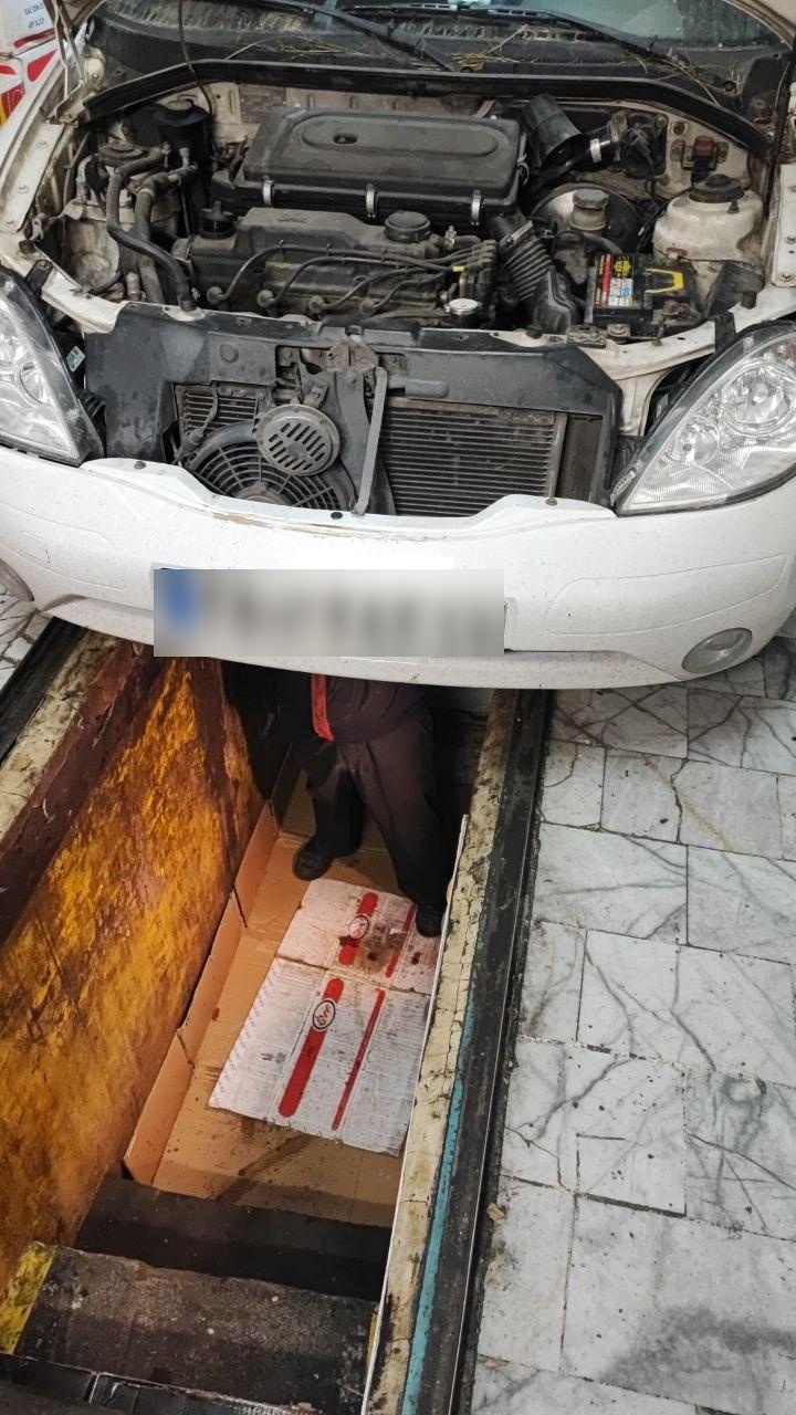 عکس تعویض روغنی نخعی