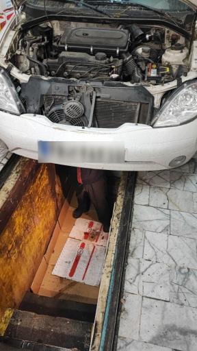 عکس تعویض روغنی نخعی