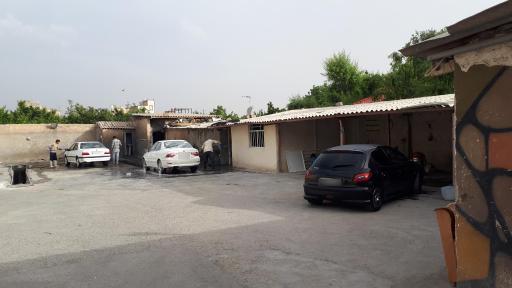 عکس کارواش بید مجنون