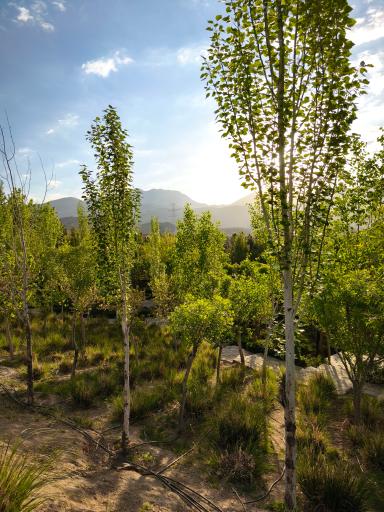 عکس دهکده تفریحی و گردشگری باغستان