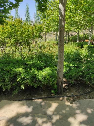 عکس دهکده تفریحی و گردشگری باغستان