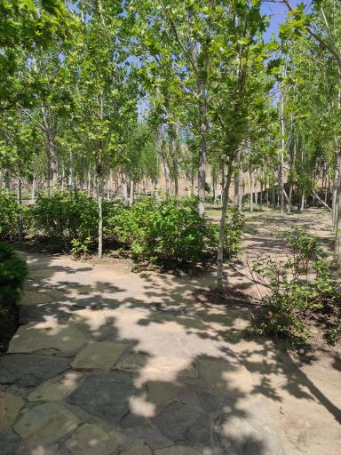 عکس دهکده تفریحی و گردشگری باغستان