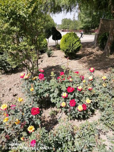 عکس دهکده تفریحی و گردشگری باغستان