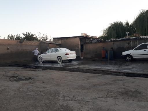 عکس کارواش بید مجنون