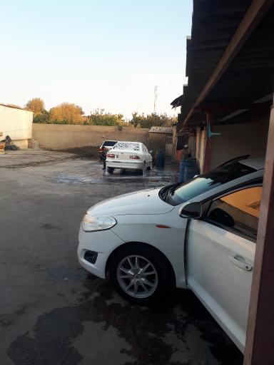 عکس کارواش بید مجنون