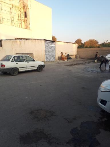 عکس کارواش بید مجنون