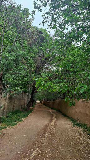عکس دهکده تفریحی و گردشگری باغستان