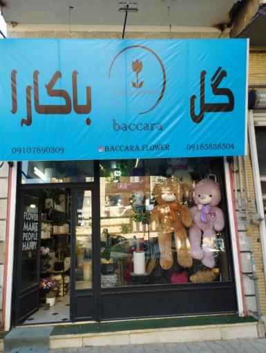 گل فروشی باکارا
