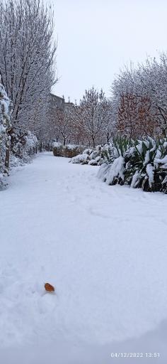 عکس پارک سیدی