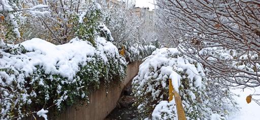 عکس پارک سیدی