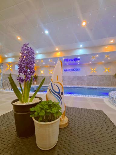 عکس مجموعه استخر خصوصی ورزشی آرامش