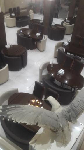 عکس رستوران خورشید