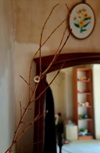 خانه فیروزه ویژه بانوان