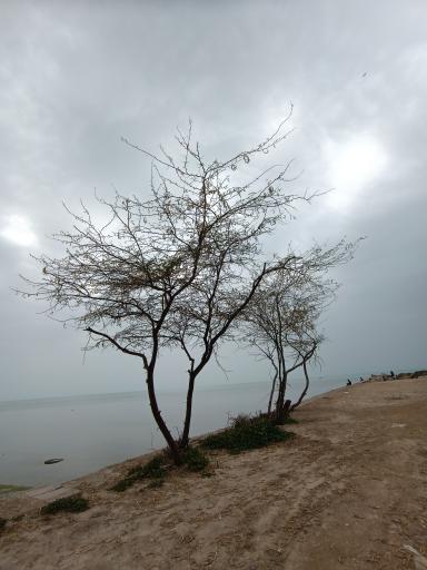 عکس پارک شغاب