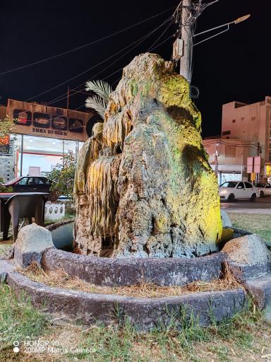 عکس فضای سبز طوطیا