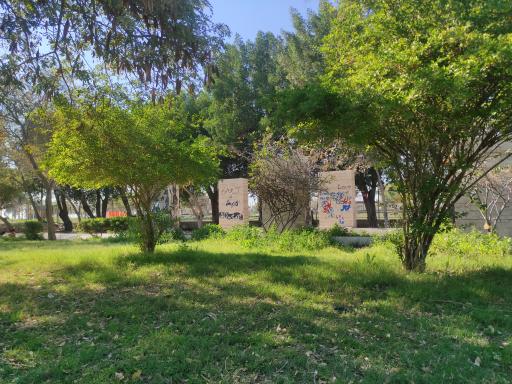 عکس پارک شغاب