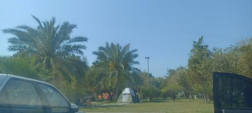 عکس پارک شغاب