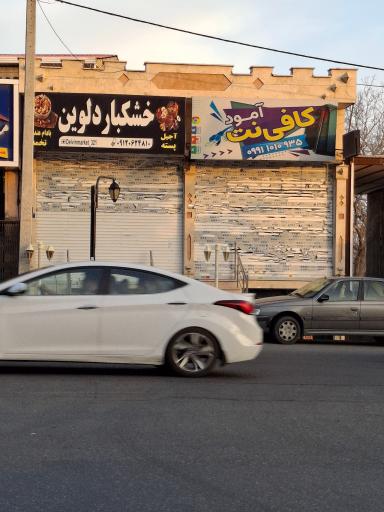 عکس خشکبار دلوین