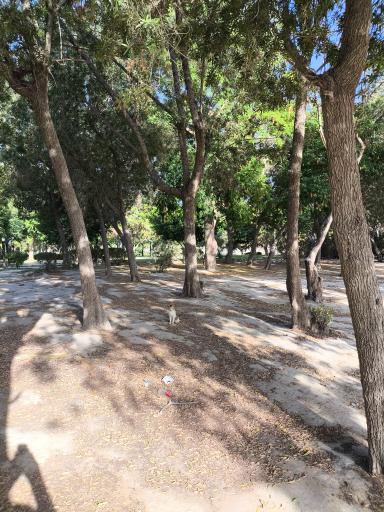 عکس پارک شغاب