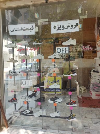 عکس کفش شیک