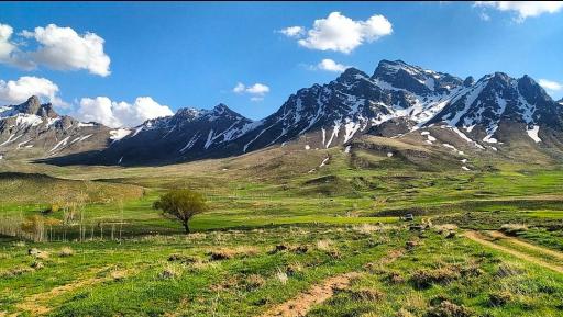 عکس قروه