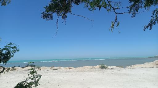 عکس پارک شغاب